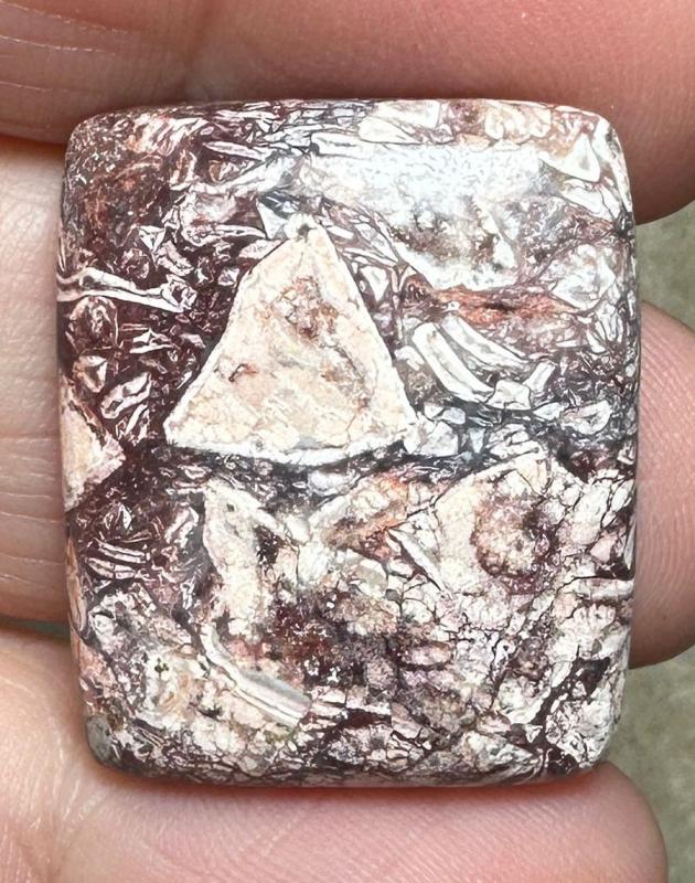 Rectangle 26x22mm Birds Eye Jasper Cabochon 22