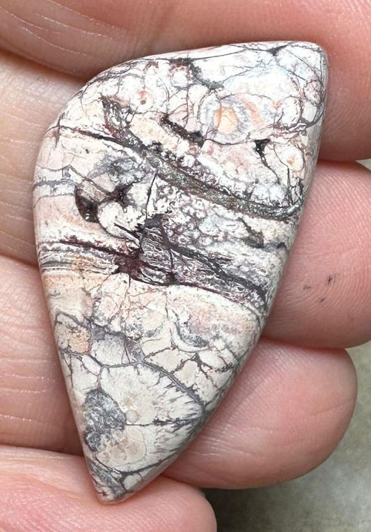 Freeform 40x21mm Birds Eye Jasper Cabochon 23