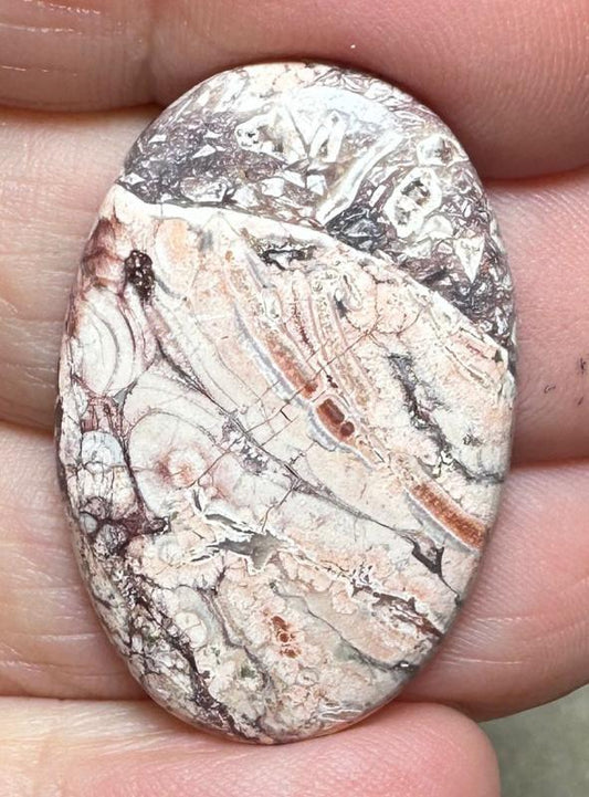 Oval 33x22mm Birds Eye Jasper Cabochon 24
