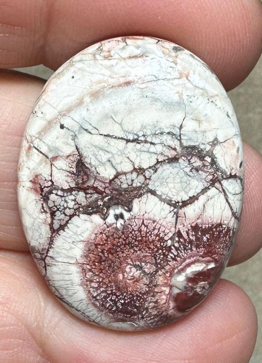 Oval 31x24mm Birds Eye Jasper Cabochon 25