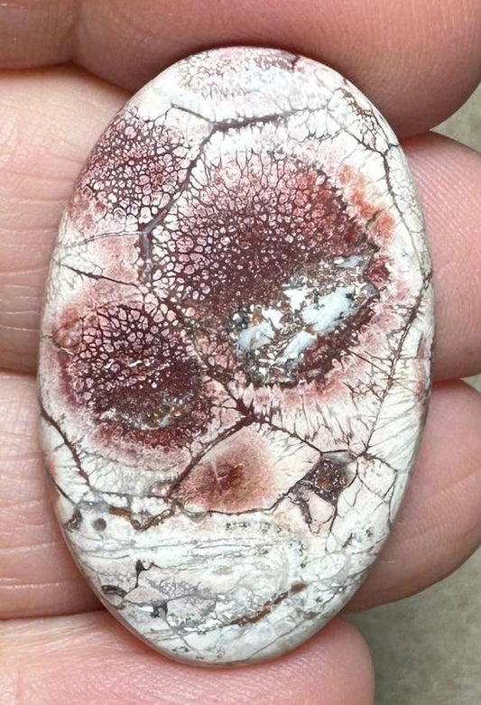 Oval 35x22mm Birds Eye Jasper Cabochon 26
