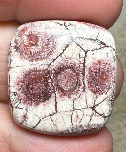 Rectangle 26x25mm Birds Eye Jasper Cabochon 27