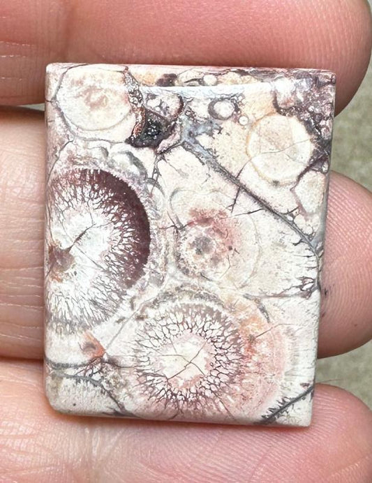 Rectangle 28x21mm Birds Eye Jasper Cabochon 29