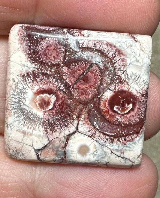 Rectangle 26x25mm Birds Eye Jasper Cabochon 30