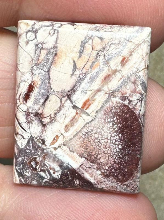 Rectangle 24x19mm Birds Eye Jasper Cabochon 31