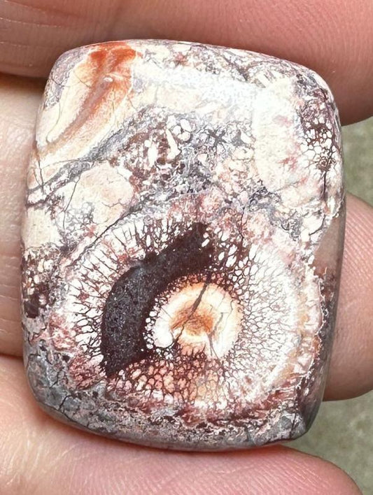 Rectangle 28x22mm Birds Eye Jasper Cabochon 32