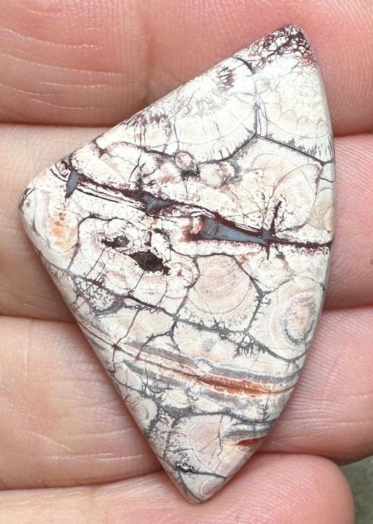 Freeform 40x26mm Birds Eye Jasper Cabochon 33