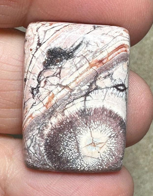 Rectangle 27x19mm Birds Eye Jasper Cabochon 34