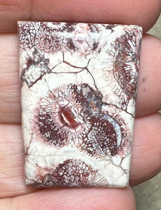 Rectangle 29x21mm Birds Eye Jasper Cabochon 35