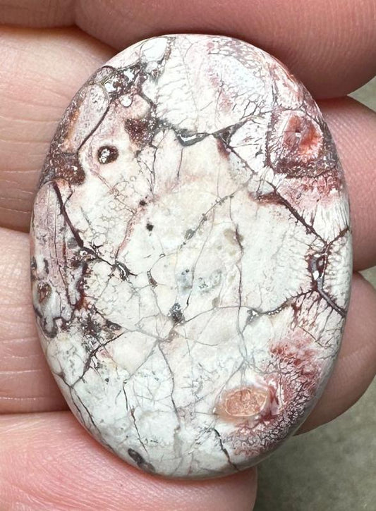 Oval 33x24mm Birds Eye Jasper Cabochon 36