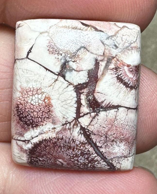 Rectangle 23x19mm Birds Eye Jasper Cabochon 38