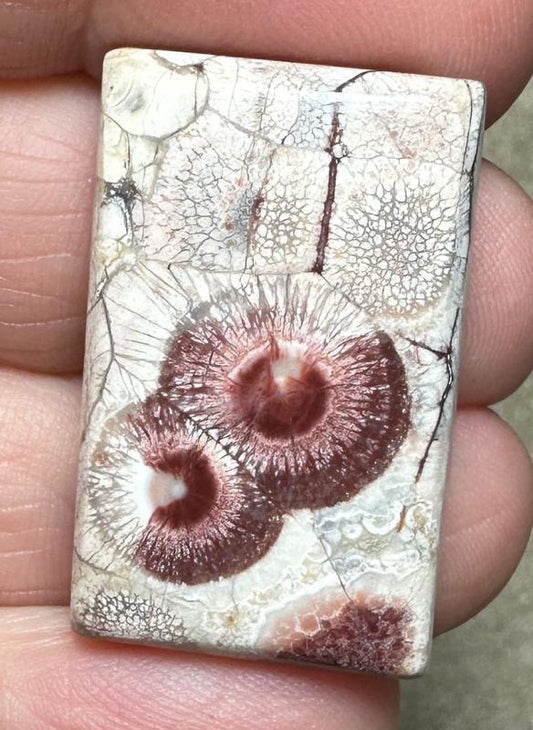 Rectangle 30x19mm Birds Eye Jasper Cabochon 40