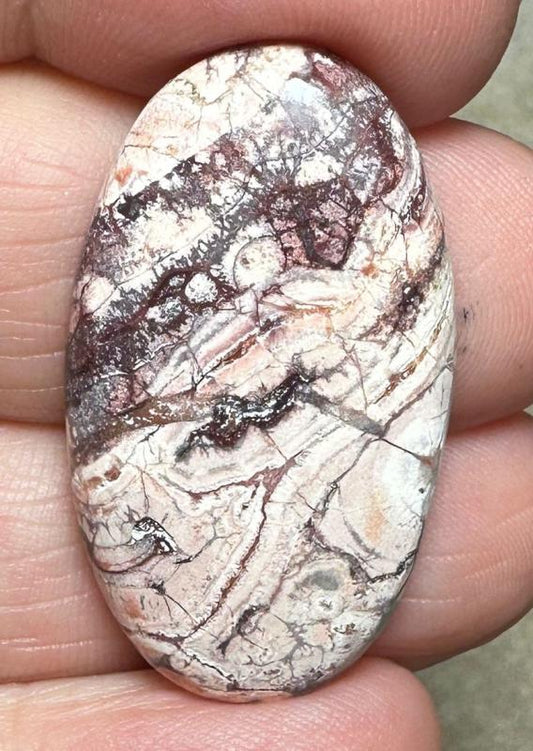 Oval 34x19mm Birds Eye Jasper Cabochon 41