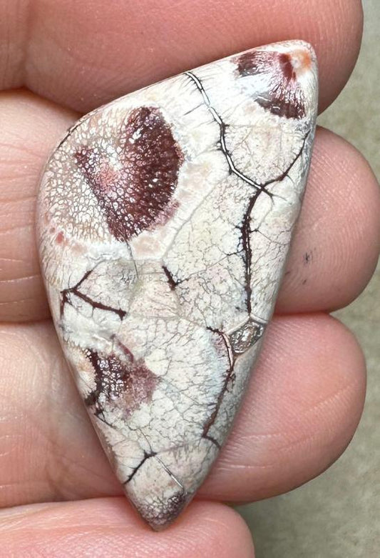 Freeform 36x18mm Birds Eye Jasper Cabochon 42