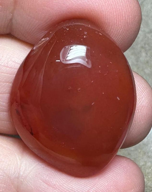 Freeform 29x23mm Carnelian Cabochon 57