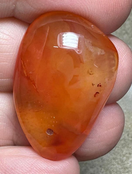 Freeform 31x20mm Carnelian Cabochon 59