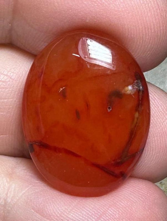 Oval 24x18mm Carnelian Cabochon 67