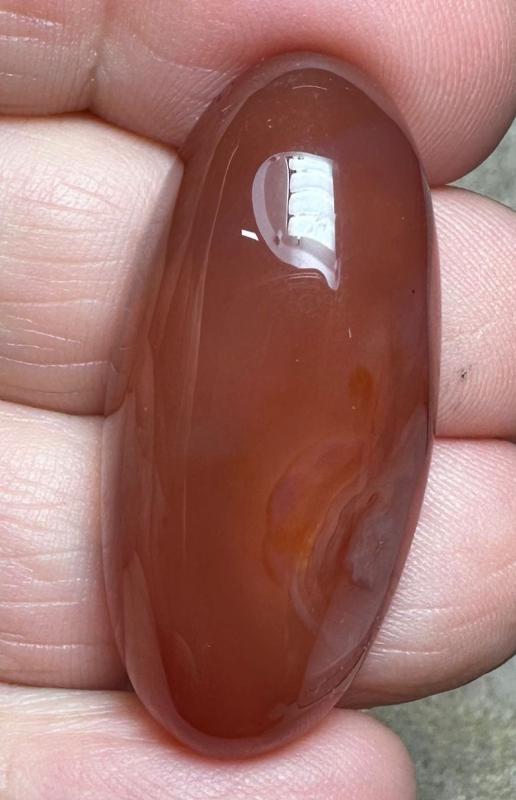 Oval 37x17mm Carnelian Cabochon 71