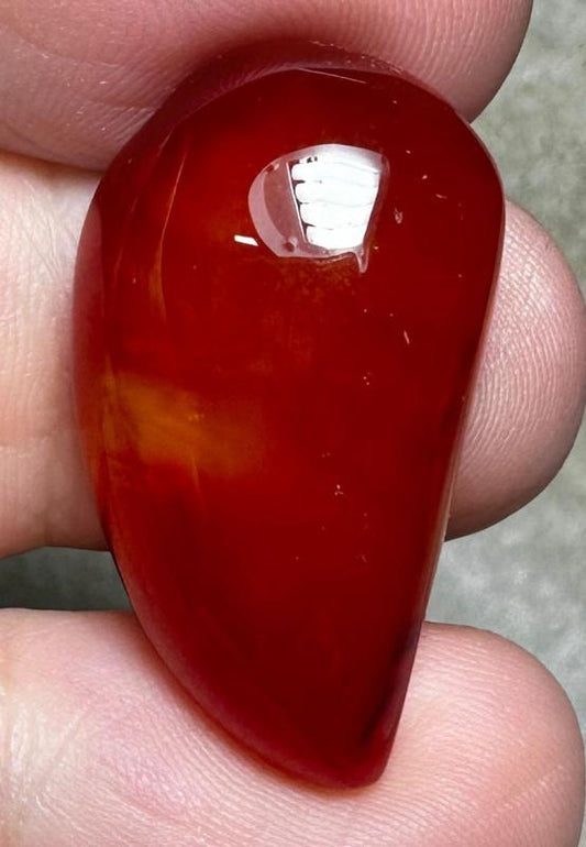 Freeform 28x16mm Carnelian Cabochon 72
