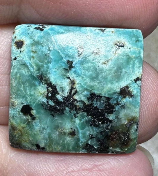 Square 21x21mm African Turquoise Cabochon 41