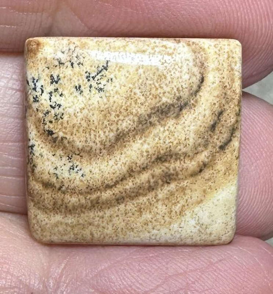 Square 20x20mm Picture Jasper Cabochon 17