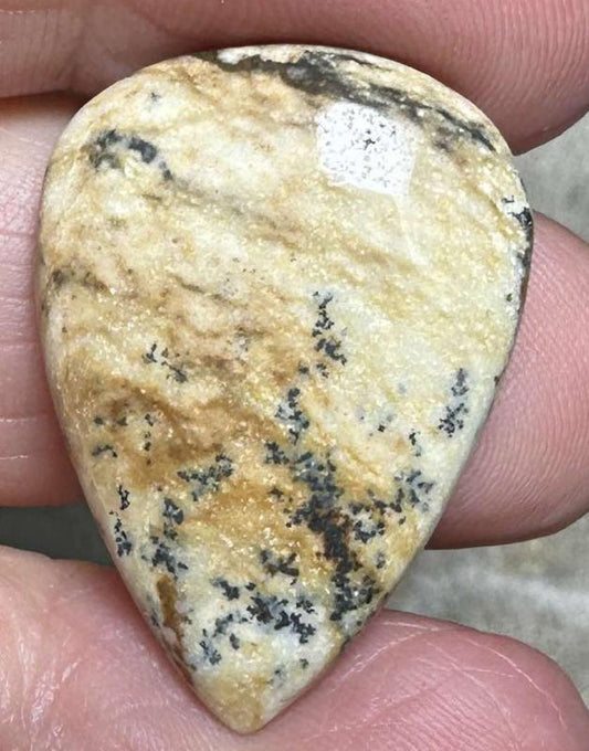 Teardrop 28x20mm Picture Jasper Cabochon 18