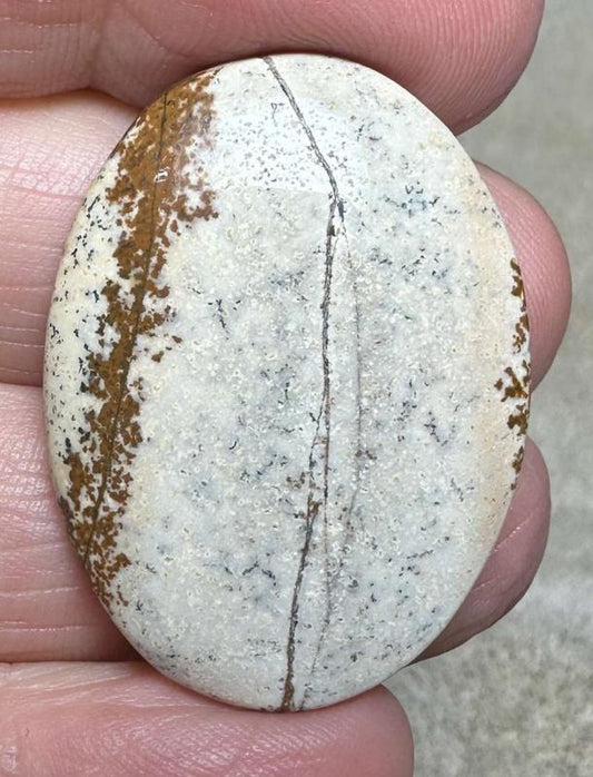 Oval 35x25mm Picture Jasper Cabochon 19
