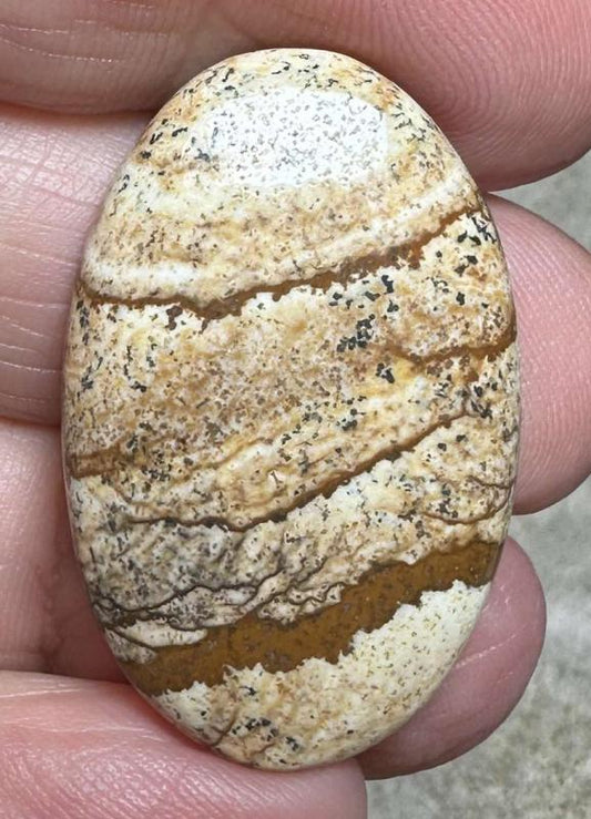 Oval 33x20mm Picture Jasper Cabochon 20