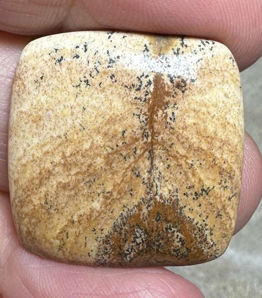 Square 26x26mm Picture Jasper Cabochon 22