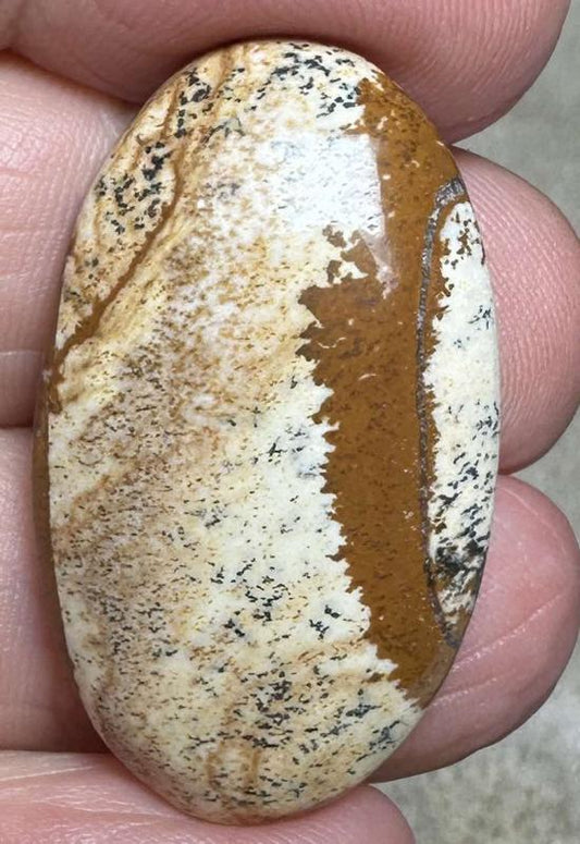 Oval 33x19mm Picture Jasper Cabochon 24
