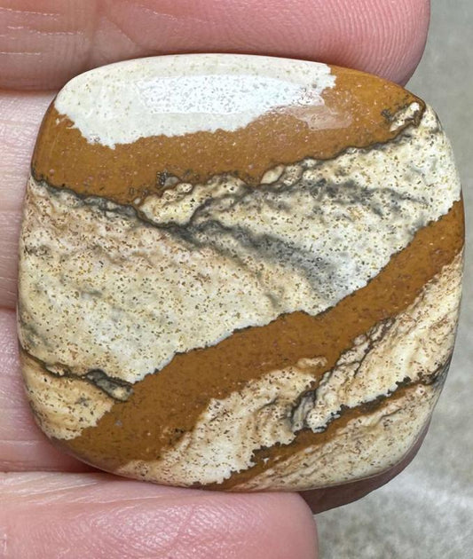 Square 30x30mm Picture Jasper Cabochon 26