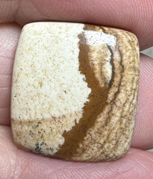 Rectangle 20x18mm Picture Jasper Cabochon 29
