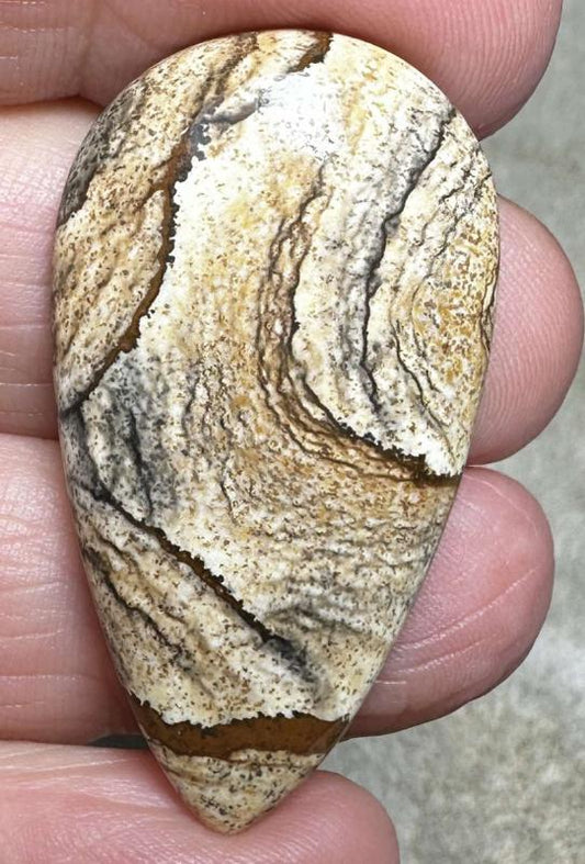 Teardrop 40x22mm Picture Jasper Cabochon 33