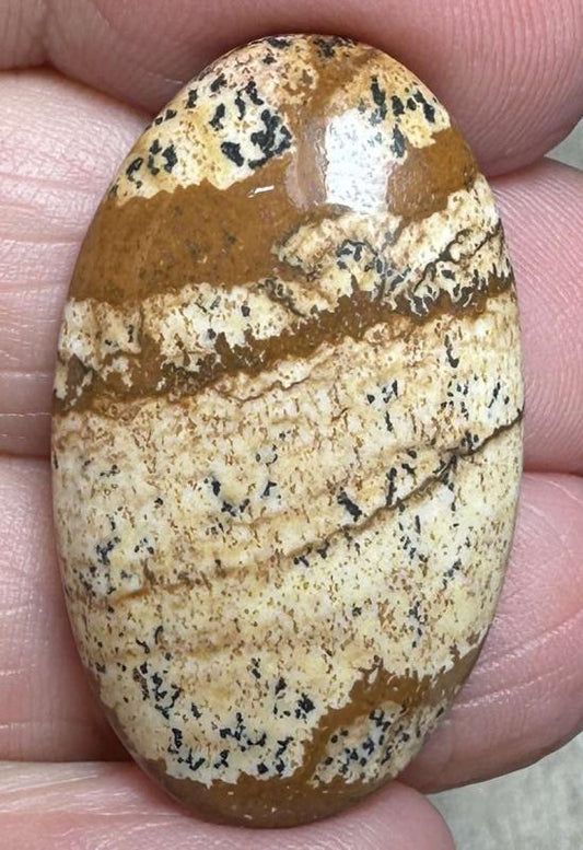 Oval 32x19mm Picture Jasper Cabochon 34