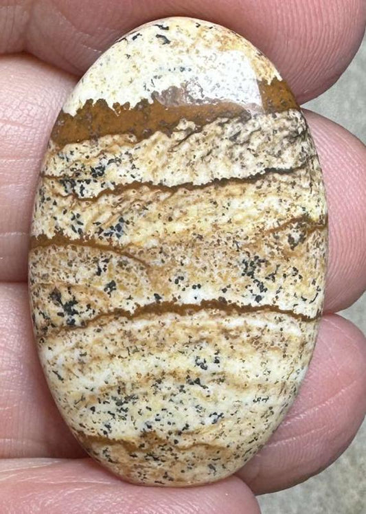 Oval 32x21mm Picture Jasper Cabochon 35