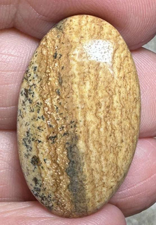Oval 31x19mm Picture Jasper Cabochon 36