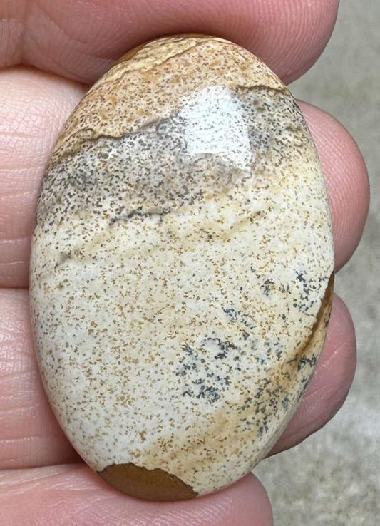 Oval 34x22mm Picture Jasper Cabochon 37