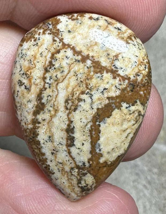 Teardrop 29x21mm Picture Jasper Cabochon 38