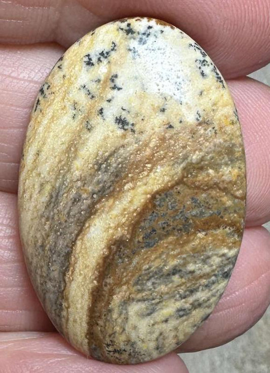 Oval 33x21mm Picture Jasper Cabochon 39
