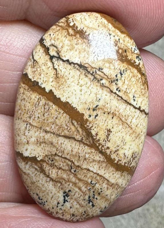 Oval 33x20mm Picture Jasper Cabochon 43