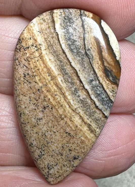 Teardrop 34x20mm Picture Jasper Cabochon 44