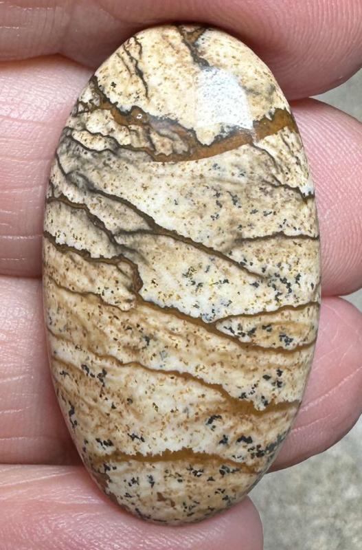 Oval 35x19mm Picture Jasper Cabochon 46