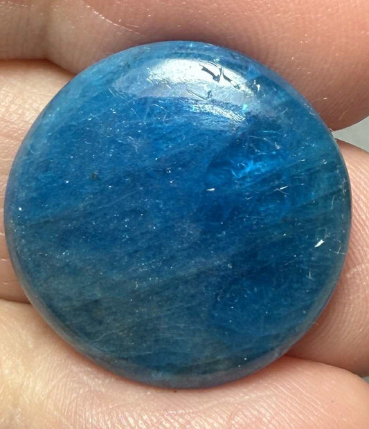 Round 22x22mm Neon Apatite Cabochon 31