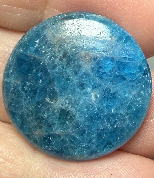 Round 25x25mm Neon Apatite Cabochon 44