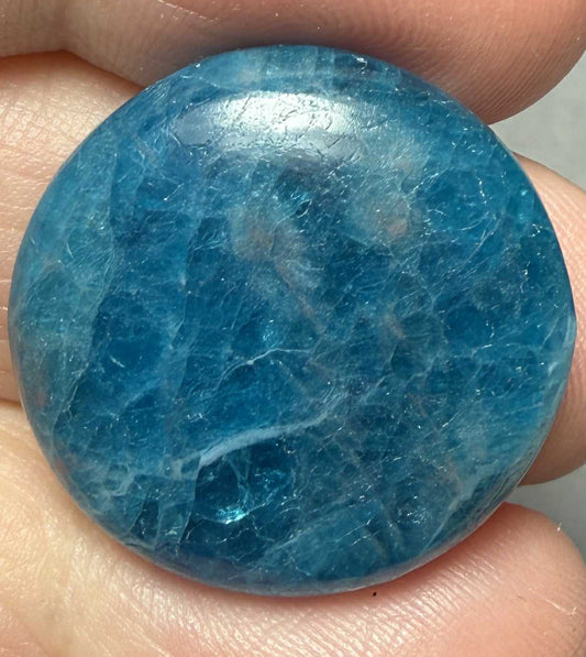 Round 24x24mm Neon Apatite Cabochon 59
