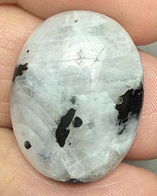 Oval 23x18mm Rainbow Moonstone with Tourmaline Cabochon 21