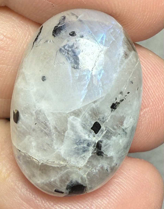 Oval 24x17mm Rainbow Moonstone with Tourmaline Cabochon 30