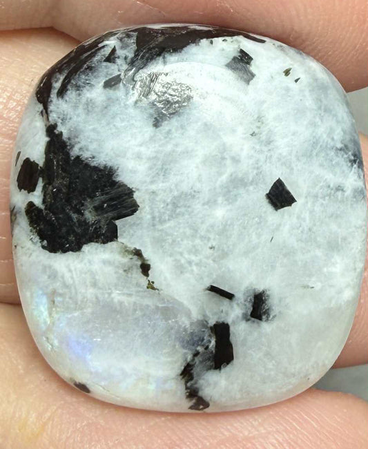 Freeform 23x21mm Rainbow Moonstone with Tourmaline Cabochon 41