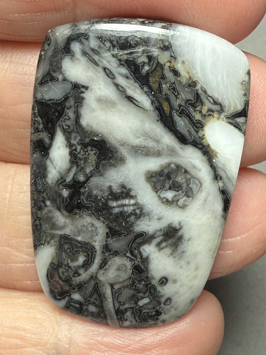 Freeform 39x26mm Orthoceras Fossil Cabochon 23