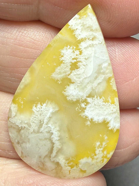 Teardrop 36x23mm Indonesian Plume Agate Doublet Cabochon 95